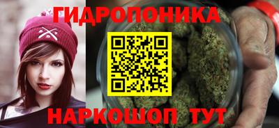 крисы Моздок
