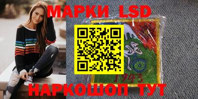 крисы Моздок