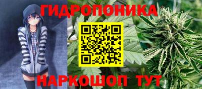 крисы Моздок