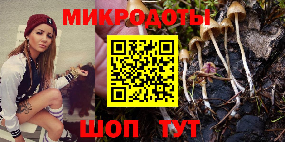 Галлюциногенные грибы MAGIC MUSHROOMS  Вход с VPN  Усть-Джегута  даркнет сайт  Псилоцибиновые грибы MAGIC MUSHROOMS 